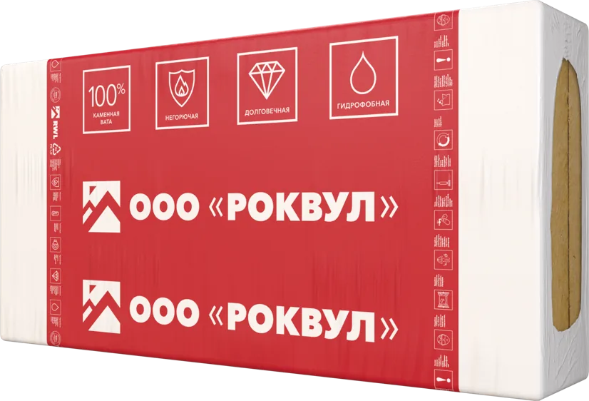 РУФ БАТТС Д ГИГА — фото 2